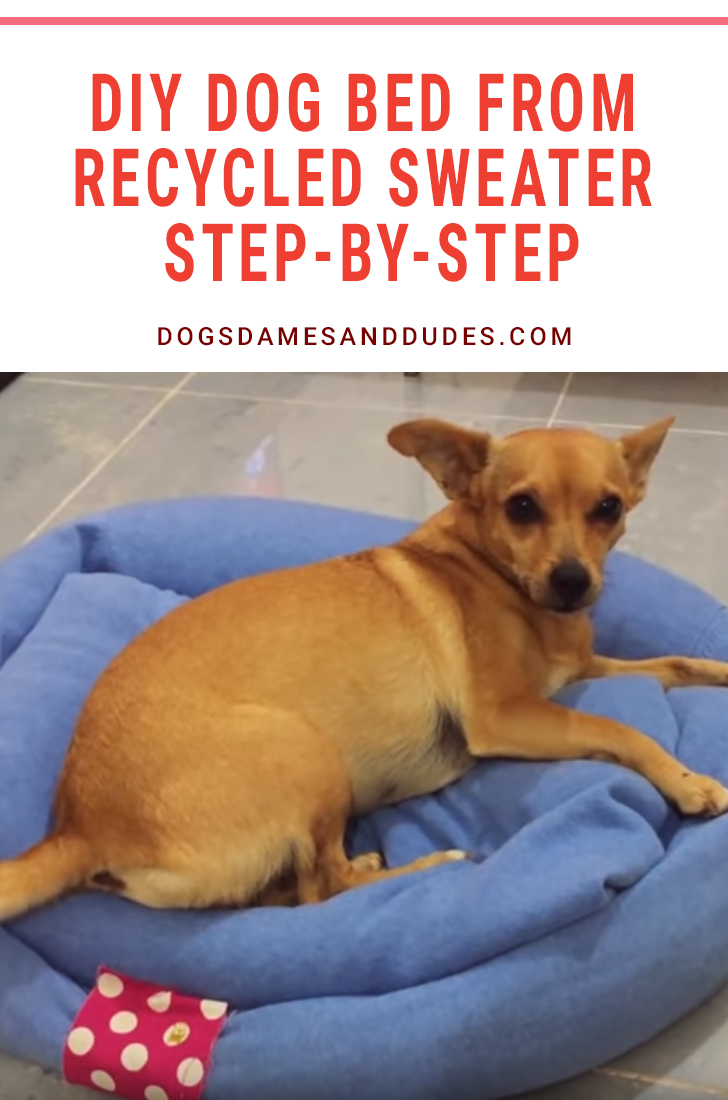 DIY Dog Bed - Step By Step