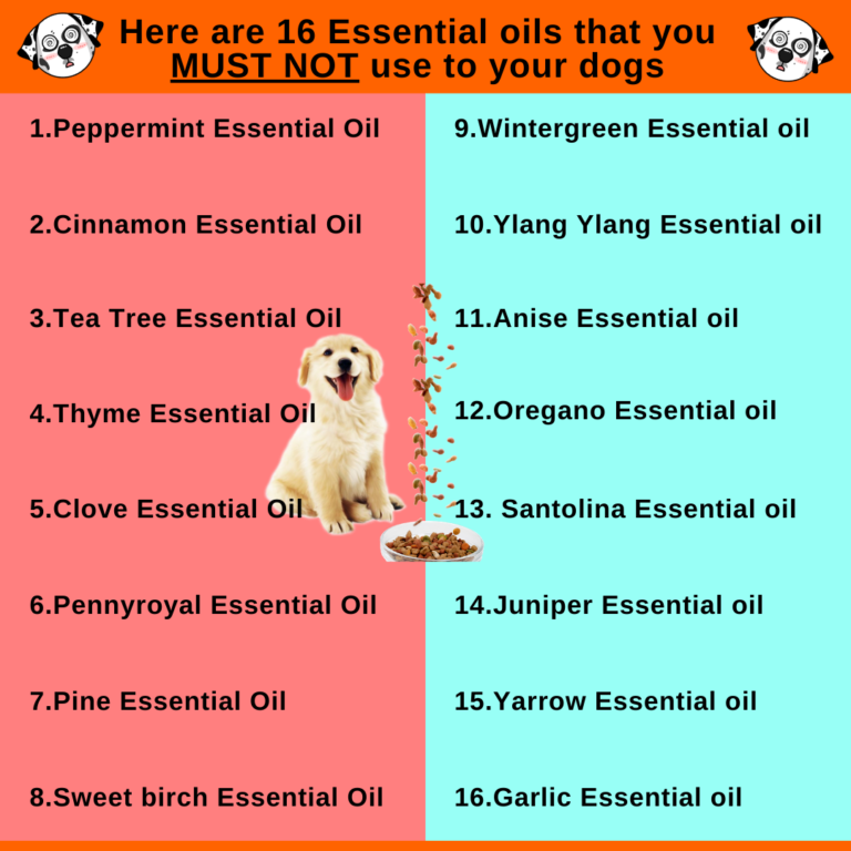 16 Essential Oils NOT Safe For Dogs