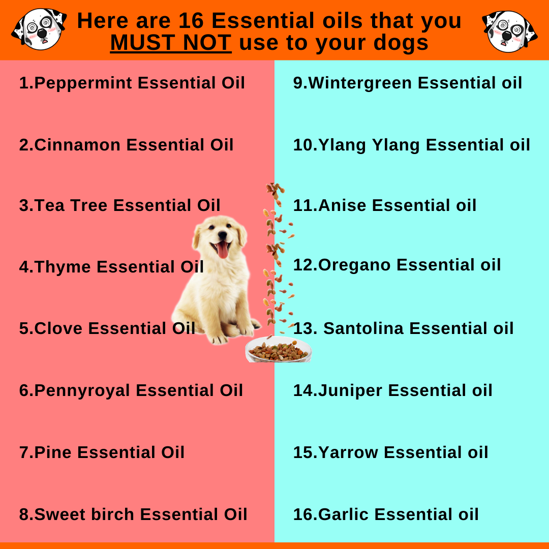 Essential Oils That Are Bad For Dogs 
