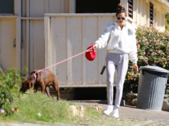 24 More Pics Of Female Celebrities With Their Furry Dog Friends Alessandra Ambrosio Large