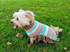 13 Crochet Dog Sweater Patterns