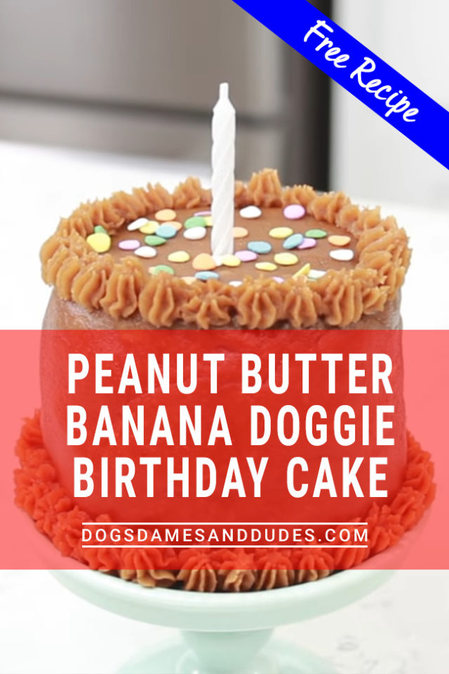 Peanut Butter Banana Doggie Birthday Cake