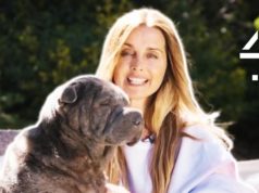 Meet Louise Redknapp’s Adorable Shar Pei Dog Blu | Celebrity Snoop Dogs Louise Redknapp’s Adorable Shar Pei Dog Blu