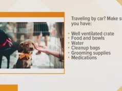 Vacation Tips For Pet Owners Vacation Tips For Pet Owners