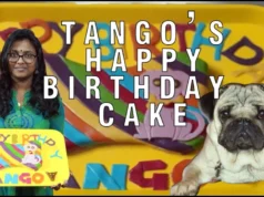 Bone Cake For Our Pet π Biscuit Birthday Cake Recipe/fondant Cake/ Special Recipe/no Oven/no Flour iG of6C2q6I 1