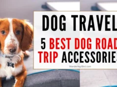 Dog Travel Essentials: 5 Best Road Trip Accessories For Motorhomes, Campervans, Rv & Cars z4zmbzndk s