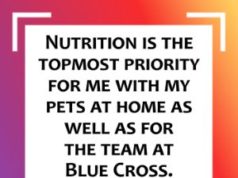 Amala Akkineni – Nutrition is the topmost priority… quote 00090