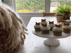 How to Make Pupcakes for Your Dog Pupcakes 02