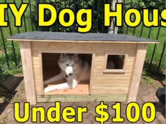 How I made this doghouse for my husky for under $100! Husky Dog House 1