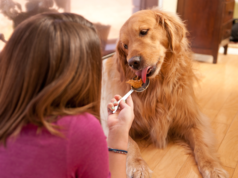 Nutty and Nutritious: Unlocking the Health Secrets of Peanut Butter for Dogs Peanut Butter Dog