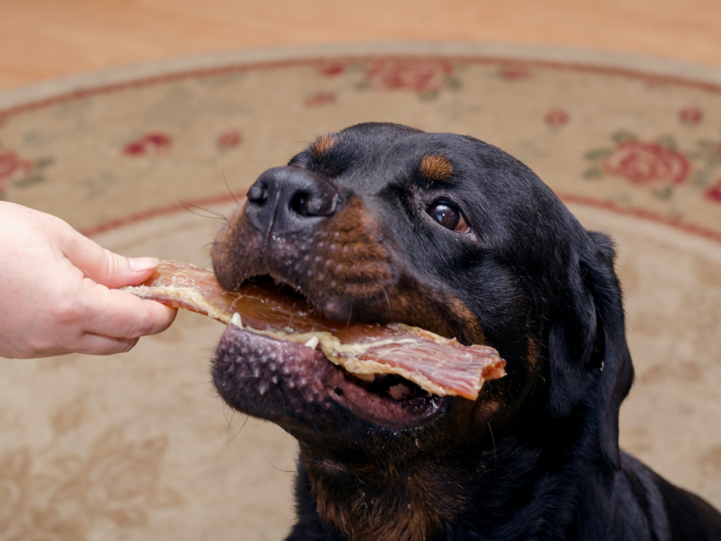 natural dog treats for your dog