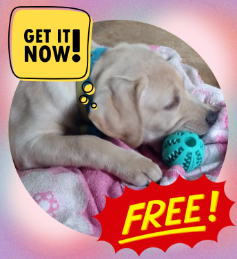 Get Your FREE Chew Buddy In The Mail! 