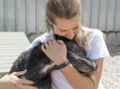 Unlocking the Power of Reward-Based Dog Training dog human bond scaled