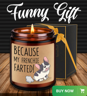 LEADO Candles - My Frenchie Farted