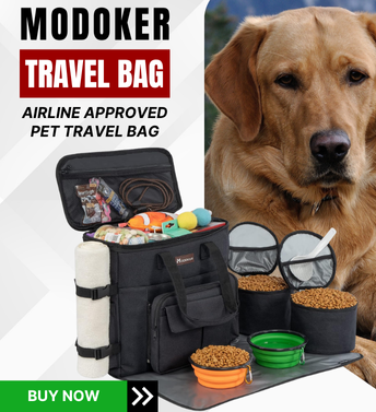 Airline Approved Pet Travel Bag