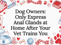 Dog Owners: Only Express Anal Glands at Home After Your Vet Trains You Decorative dog care title card illustration